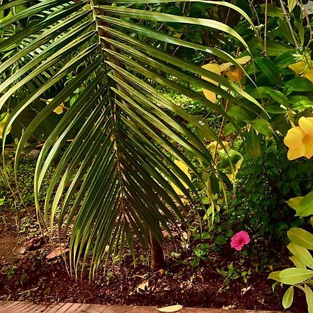 Stan-Inn, North Goa, Vagator, With Strong Wifi,Free Private Parking & Kitchen, Can Cook Where You Stay Extérieur photo
