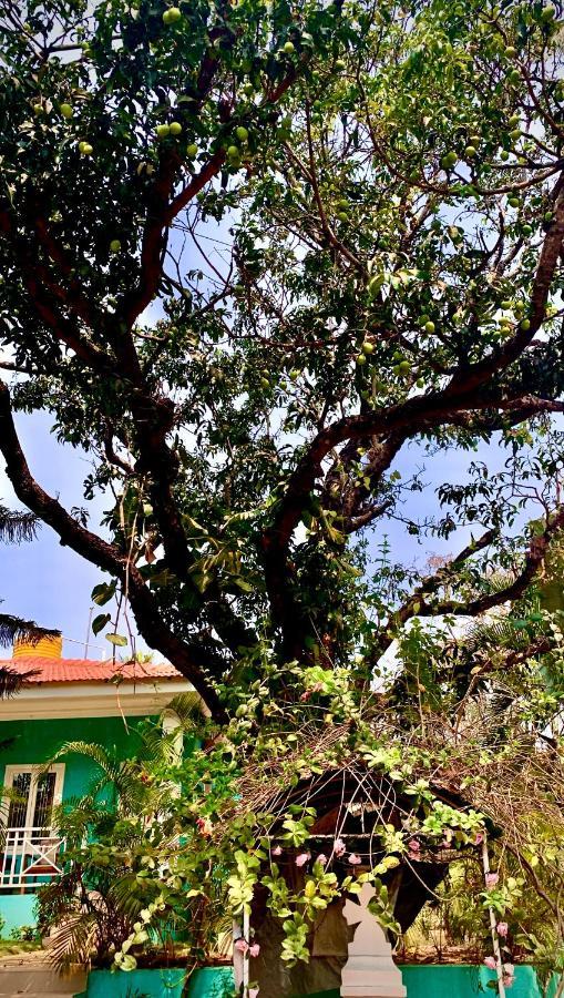 Stan-Inn, North Goa, Vagator, With Strong Wifi,Free Private Parking & Kitchen, Can Cook Where You Stay Extérieur photo
