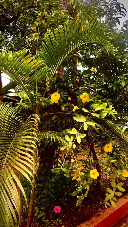 Stan-Inn, North Goa, Vagator, With Strong Wifi,Free Private Parking & Kitchen, Can Cook Where You Stay Extérieur photo